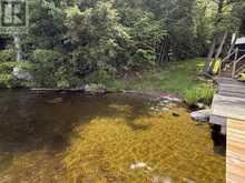200 BLACKSTONE LAKE WATER | Carling Ontario | Slide Image Forty-six