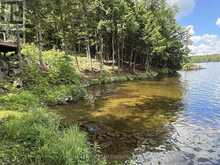 200 BLACKSTONE LAKE WATER | Carling Ontario | Slide Image Forty-seven