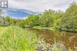 562 CATERING ROAD | Georgina Ontario | Slide Image Thirty-eight