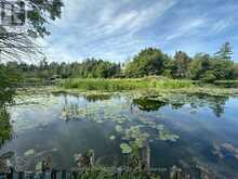 164 RIVERBANK DRIVE | Georgina Ontario | Slide Image Seven