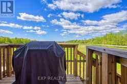 419 PUMPKIN PASS | Binbrook Ontario | Slide Image Twenty-four