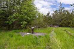 2523 COUNTY RD 15 ROAD | Prince Edward Ontario | Slide Image Two