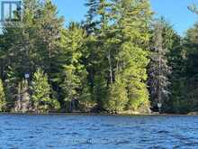 BOAT ACCESS ON MASON ISLAND | French River Ontario | Slide Image Three
