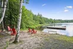 1007 MCCABE ROAD | Baysville Ontario | Slide Image Thirty-three