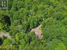 1007 MCCABE ROAD | Baysville Ontario | Slide Image Forty-seven