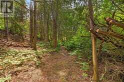 308339 HOCKLEY ROAD | Mono Ontario | Slide Image Forty-seven