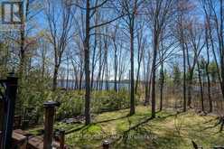 32 MCLEISH DRIVE | Kawartha Lakes Ontario | Slide Image Thirty-five