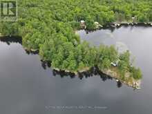 34 SR407 SEVERN RIVER | Coldwater Ontario | Slide Image Two