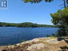 34 SR407 SEVERN RIVER | Coldwater Ontario | Slide Image Six