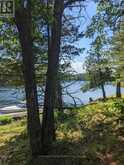 34 SR407 SEVERN RIVER | Coldwater Ontario | Slide Image Nine
