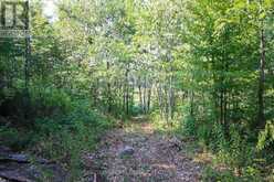 213 BIRCH ACRES DRIVE | Port Severn Ontario | Slide Image Thirty-one