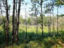 213 BIRCH ACRES DRIVE | Port Severn Ontario | Slide Image Thirty-two