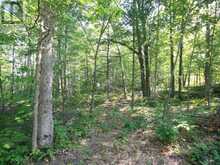 213 BIRCH ACRES DRIVE | Port Severn Ontario | Slide Image Thirty-five