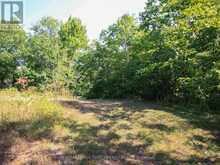 213 BIRCH ACRES DRIVE | Port Severn Ontario | Slide Image Thirty-six