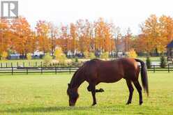 LT 221 FRIESIAN COURT | Coldwater Ontario | Slide Image Fifteen