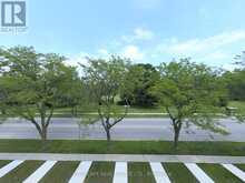 34 SIDNEY ROSE COMMON | St. Catharines Ontario | Slide Image Thirty