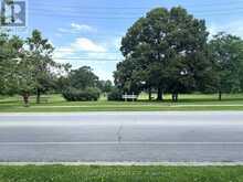 34 SIDNEY ROSE COMMON | St. Catharines Ontario | Slide Image Thirty-three