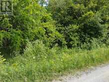 LOT 78 SOUTH MOUNTAIN ROAD | Kawartha Lakes Ontario | Slide Image Ten