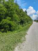 LOT 78 SOUTH MOUNTAIN ROAD | Kawartha Lakes Ontario | Slide Image Five