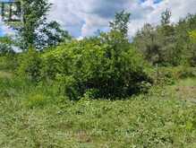 LOT 78 SOUTH MOUNTAIN ROAD | Kawartha Lakes Ontario | Slide Image Four