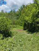 LOT 78 SOUTH MOUNTAIN ROAD | Kawartha Lakes Ontario | Slide Image Six