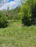 LOT 78 SOUTH MOUNTAIN ROAD | Kawartha Lakes Ontario | Slide Image Eight