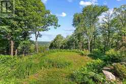 190 RIDGEVIEW ROAD | Haliburton Ontario | Slide Image Thirty-five