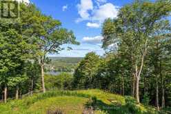 190 RIDGEVIEW ROAD | Haliburton Ontario | Slide Image Thirty-six