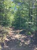 LOT 402 DESROCHES TRAIL | Tiny Ontario | Slide Image Ten