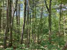 LOT 402 DESROCHES TRAIL | Tiny Ontario | Slide Image Eleven