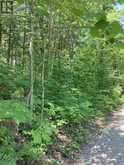 LOT 402 DESROCHES TRAIL | Tiny Ontario | Slide Image Two