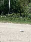 LOT 402 DESROCHES TRAIL | Tiny Ontario | Slide Image Eight