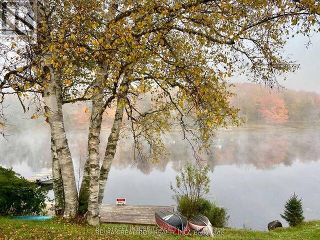 62 OTTAWA STREET South Algonquin Ontario, K0J 2M0 - 4 Bedrooms Waterfront Home For sale