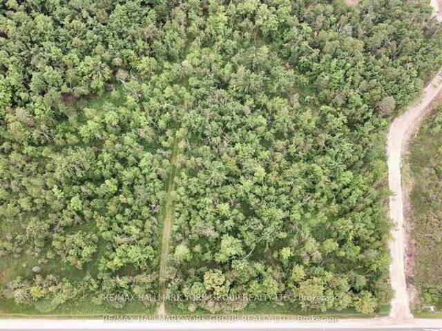 PT LT 80 GREY RD 124 GREY ROAD Grey Highlands Ontario, N0C 1A0 - Vacant Land For Sale
