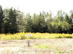 19 RUMBLE COURT Springwater Ontario, L0L 1V0