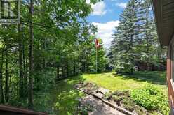 5 PINE POINT | Barrie Ontario | Slide Image Thirty-six