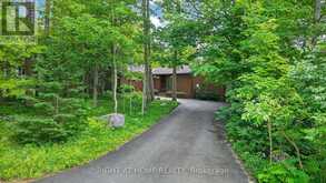 5 PINE POINT | Barrie Ontario | Slide Image Forty-three