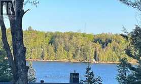 49 PINERIDGE DRIVE | McDougall Ontario | Slide Image One