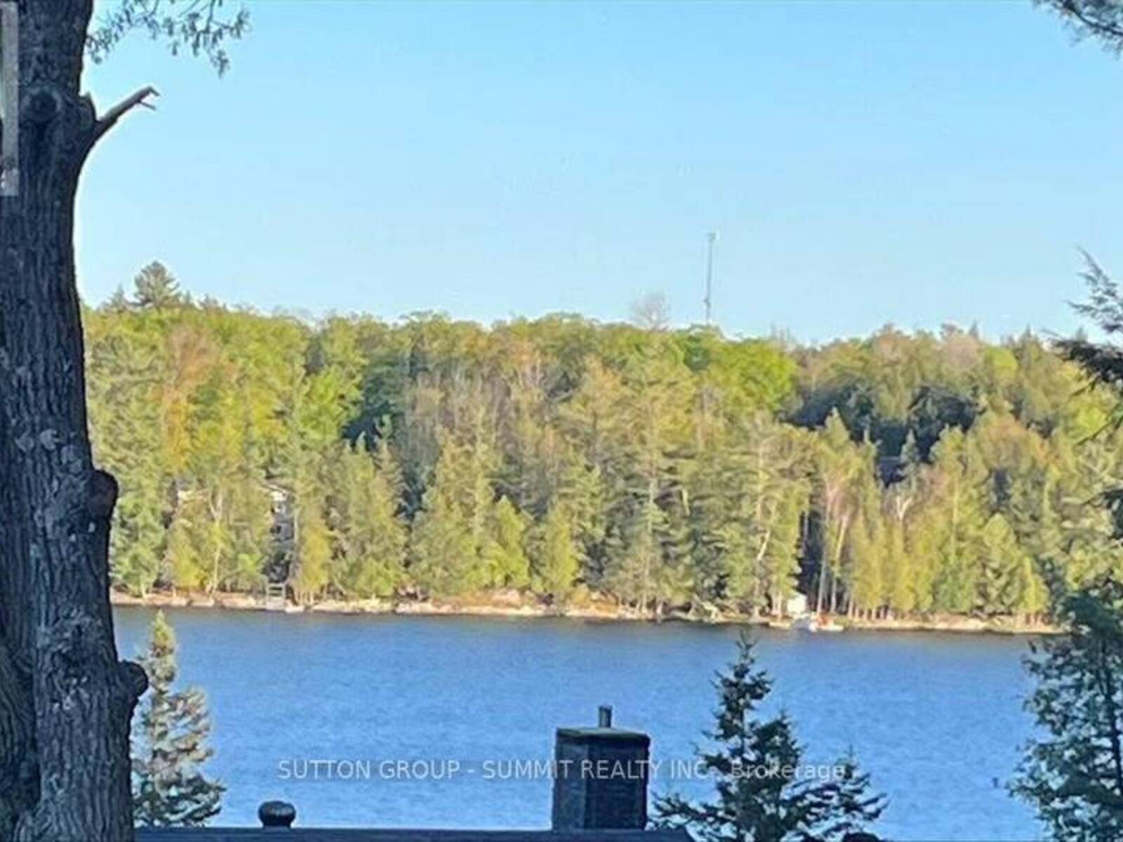 49 PINERIDGE DRIVE, McDougall, Ontario P2A 2W9