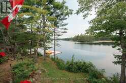11 FIRE ROUTE 44 ROUTE | North Kawartha Ontario | Slide Image Thirty