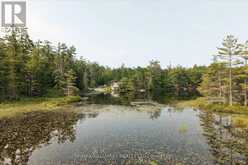 11 FIRE ROUTE 44 ROUTE | North Kawartha Ontario | Slide Image Forty-five