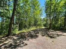 692 MITCHELL ROAD | Madawaska Valley Ontario | Slide Image Three