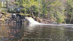 1033 NORTH SHORE DRIVE | Gravenhurst Ontario | Slide Image One