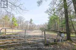 1033 NORTH SHORE DRIVE | Gravenhurst Ontario | Slide Image Thirty-two