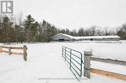 1033 NORTH SHORE DRIVE | Gravenhurst Ontario | Slide Image Thirty-nine