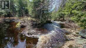 1033 NORTH SHORE DRIVE | Gravenhurst Ontario | Slide Image Five