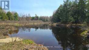1033 NORTH SHORE DRIVE | Gravenhurst Ontario | Slide Image Six