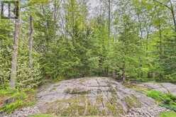 1045 TOWER CRESCENT | Gravenhurst Ontario | Slide Image Twelve