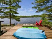 321 HEALEY LAKE W/A | Carling Ontario | Slide Image Thirty