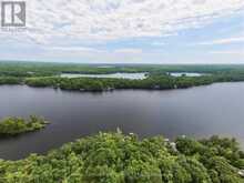 321 HEALEY LAKE W/A | Carling Ontario | Slide Image Forty-one